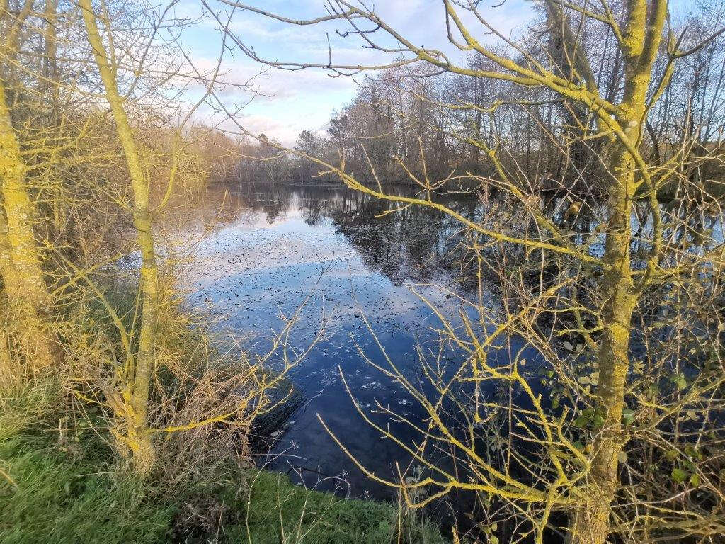 Terrain à SAINTE-CECILE
