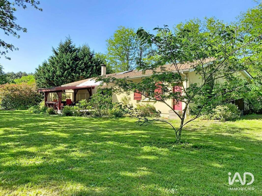 Photo 1 - Maison à VILLANDRAUT