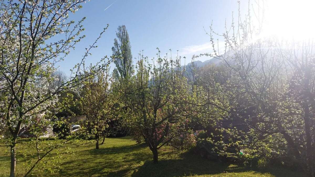Maison individuelle avec grand terrain, au calme - photo 6