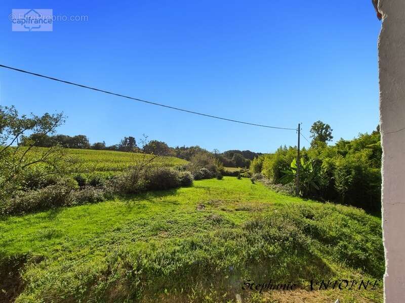 Maison de caractère 284 m² - 6 suites - Orthez - photo 20