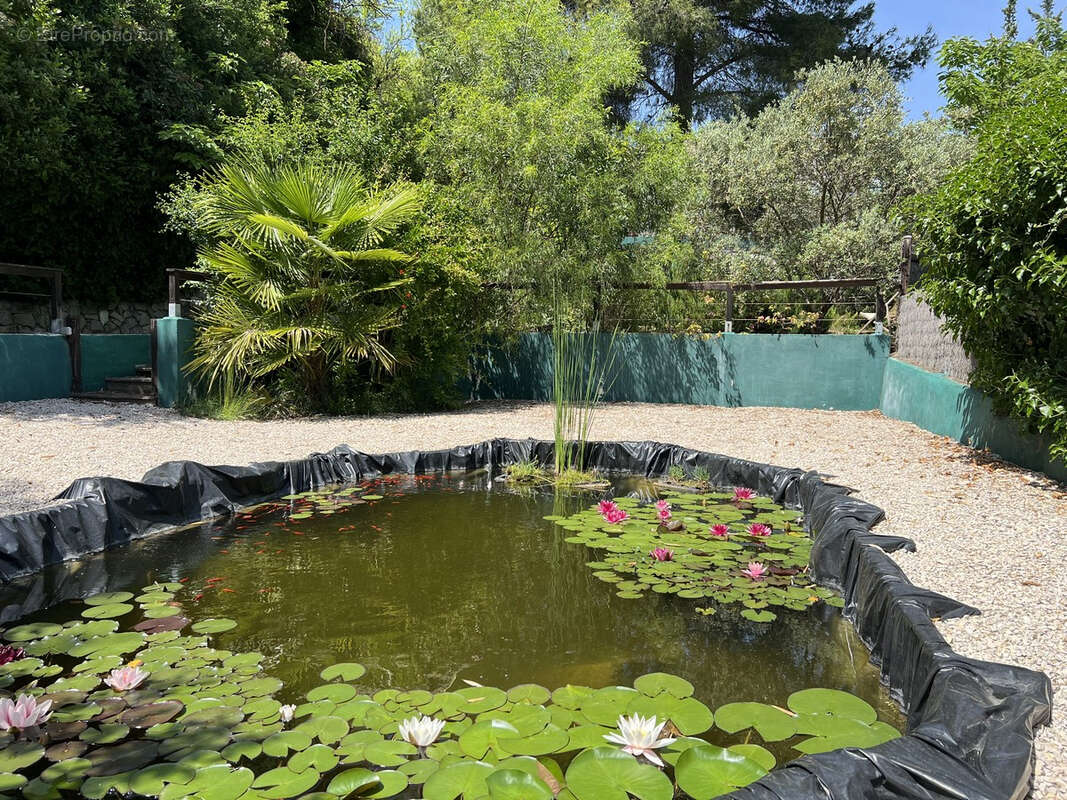 Maison à SAUVETERRE