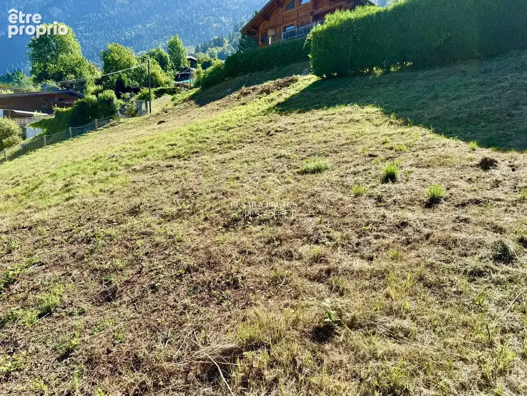 Terrain 960 m² à vendre à Saint-Gervais-Les-Bains (74170) - photo 5