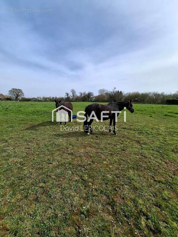 Photo 4 - Terrain à LE MESNIL-ANGOT