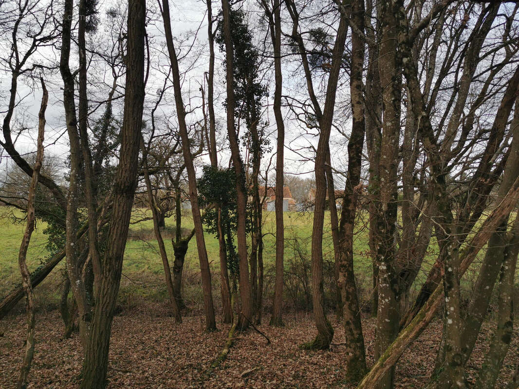 Maison à CHATRES-SUR-CHER