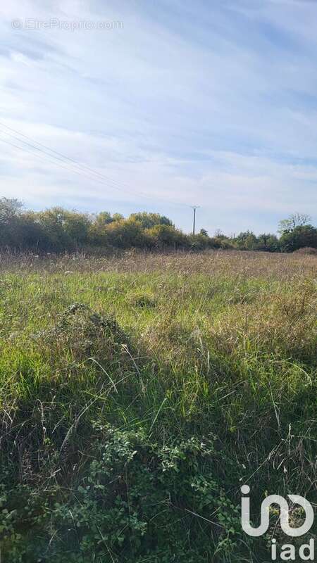 Photo 2 - Terrain à LA COUR-MARIGNY