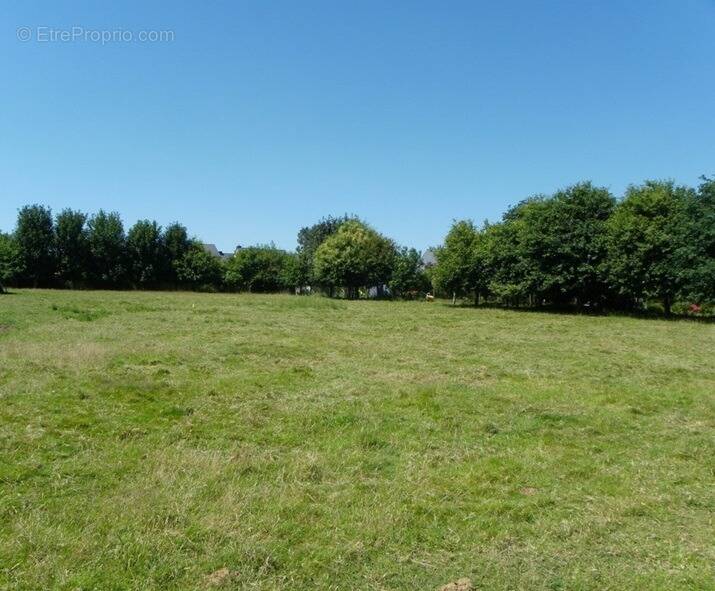 Terrain à COUFFOULENS