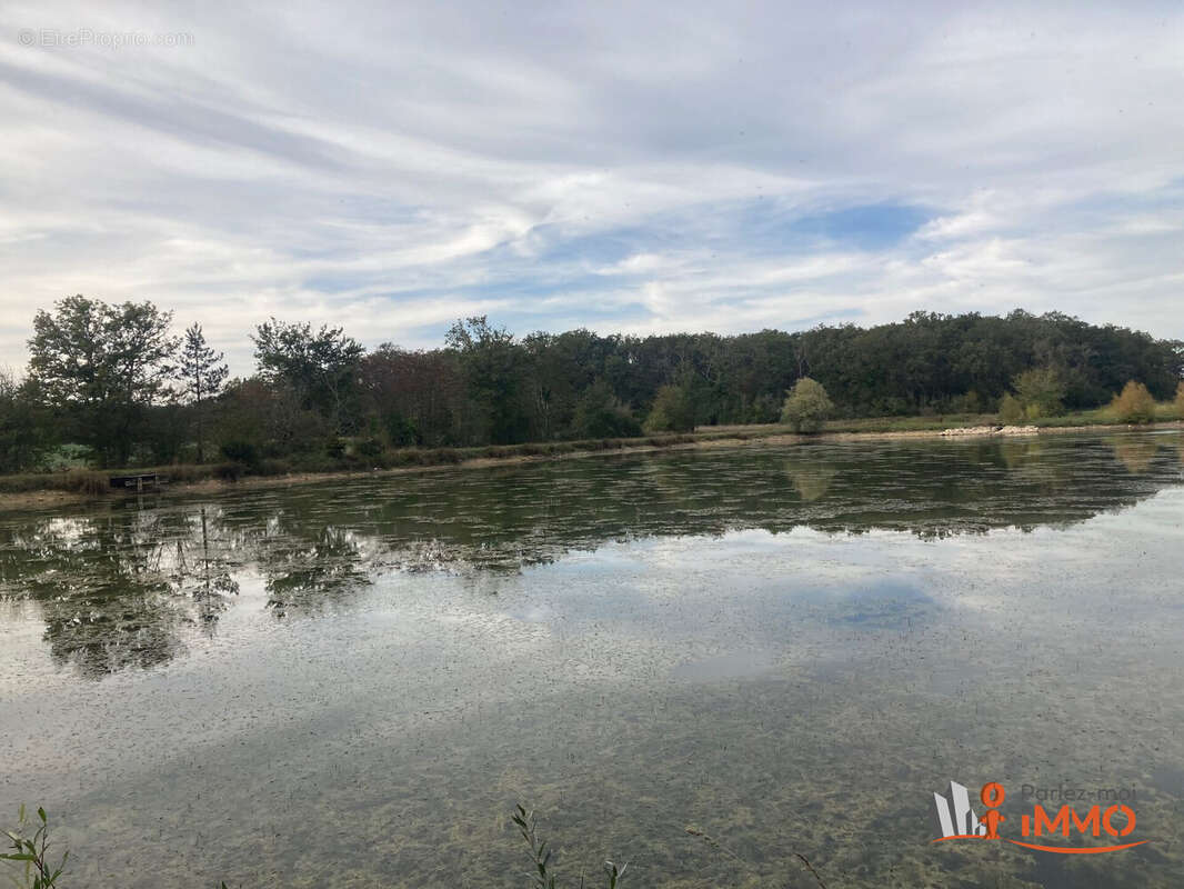 Maison à DAMMARIE-EN-PUISAYE