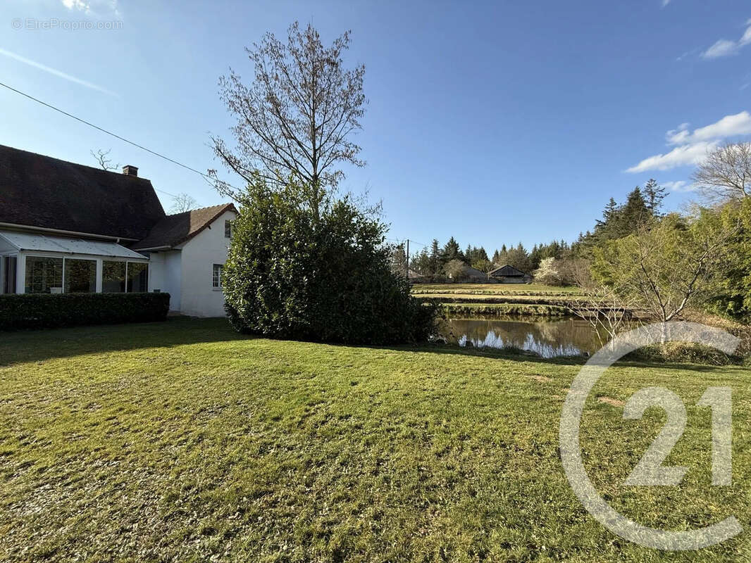 Maison à VILLENEUVE-SUR-ALLIER