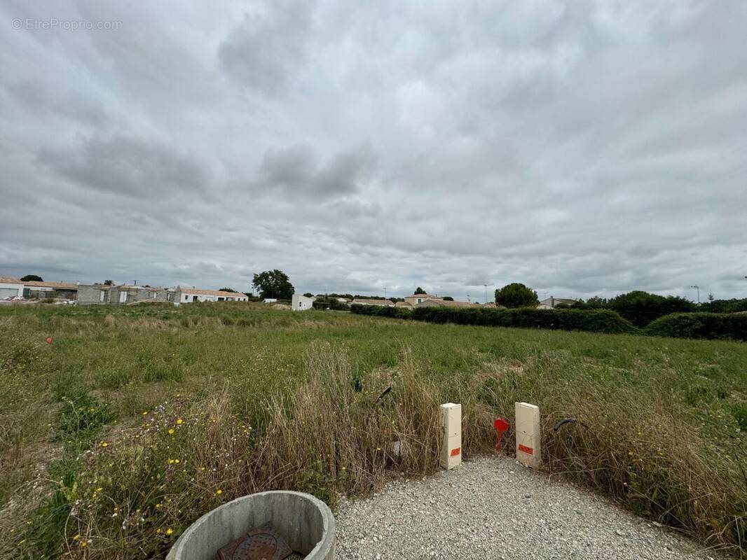Terrain à SURGERES