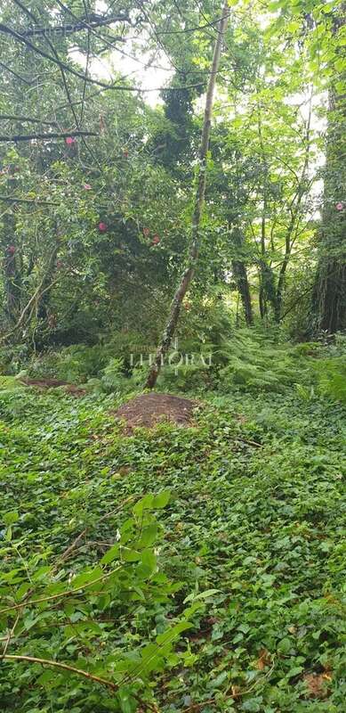 Terrain à PLOUGONVELIN