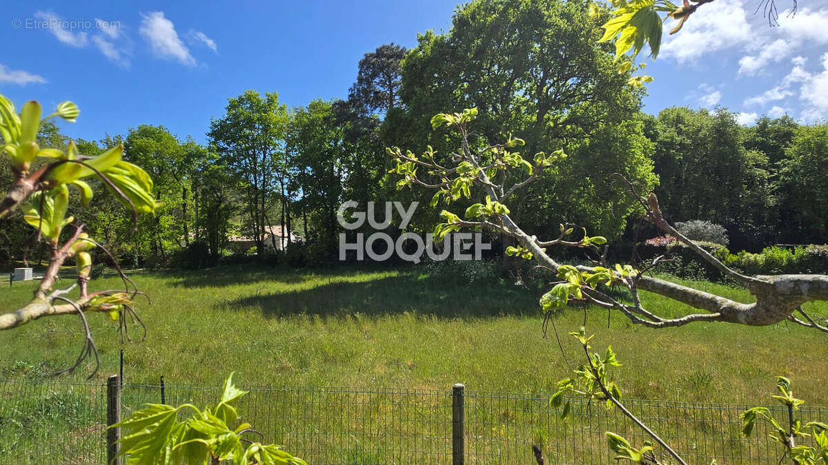 Terrain à SAINT-HILAIRE-DE-RIEZ