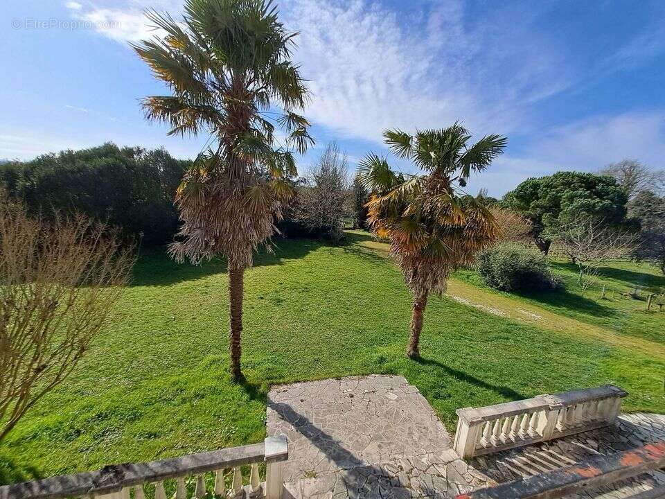Vertheuil-5 chambres-terrain6854 m2-calme - Maison à VERTHEUIL