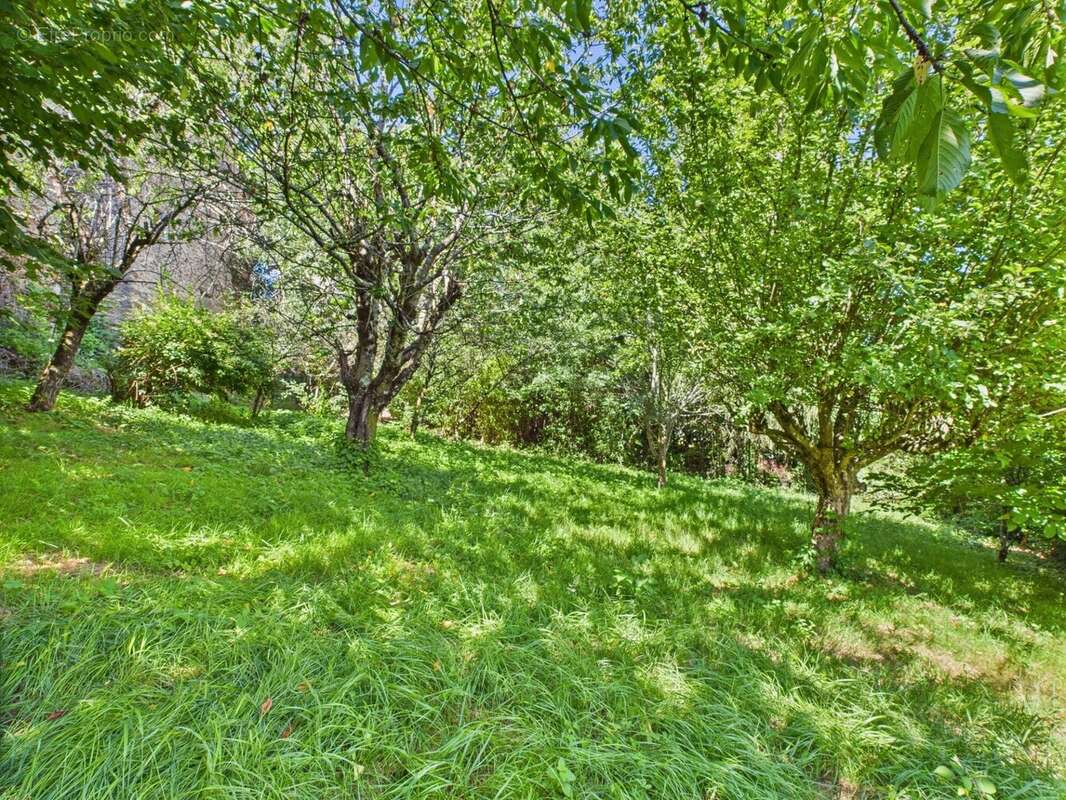Charmante maison en pierre avec jardin, vue et grand potentiel - photo 3