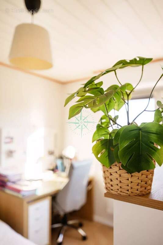 Maison à PFULGRIESHEIM