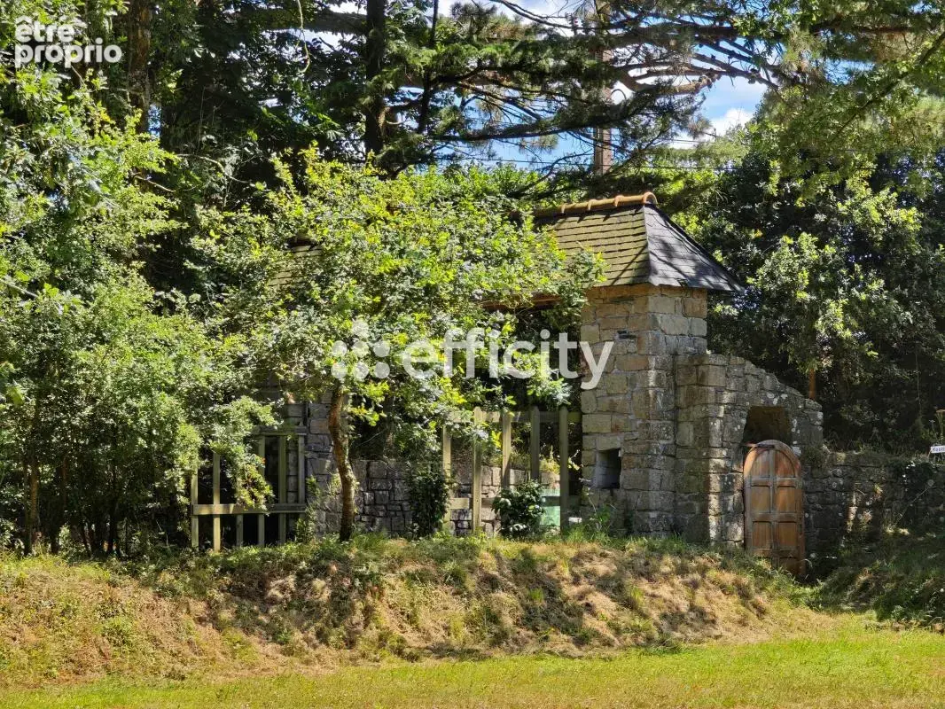 Propriété - photo 29