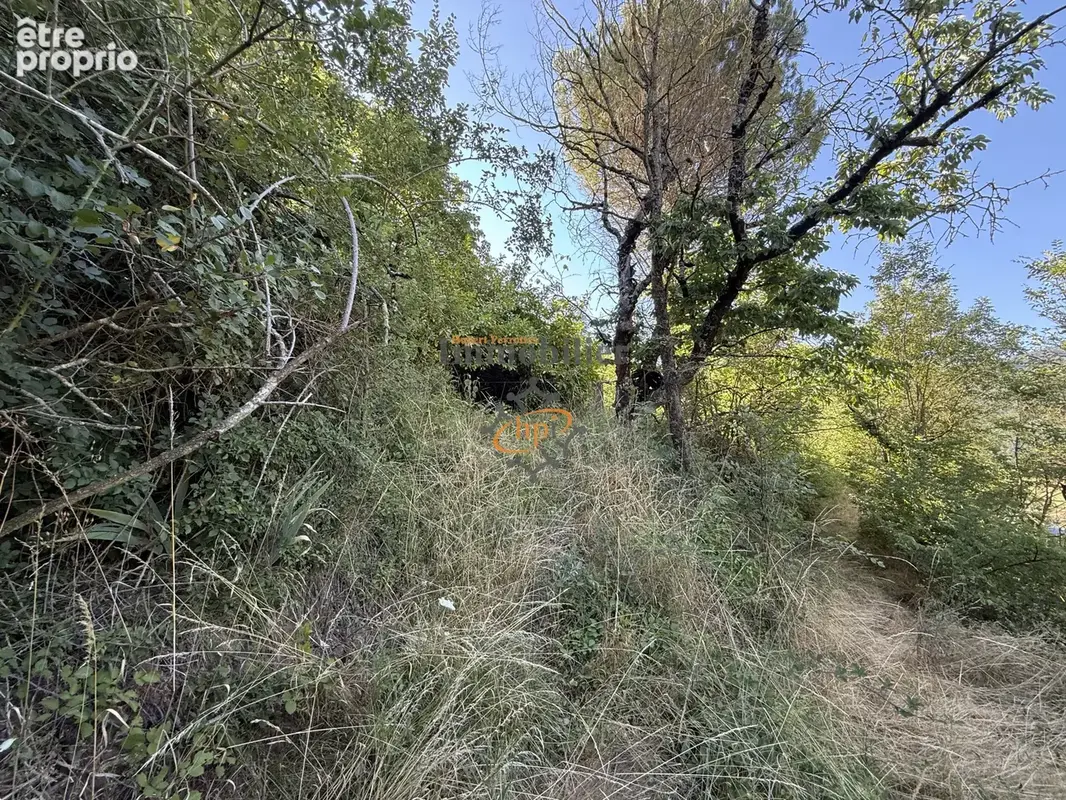 Vente remise avec  2,45 hectares de terrains Versols-et-Lapeyre - photo 24