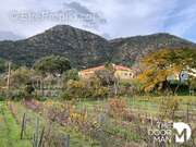 Commerce à LE LAVANDOU