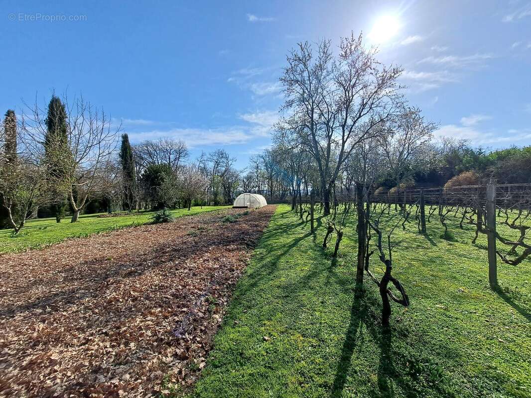 Maison à VIC-FEZENSAC