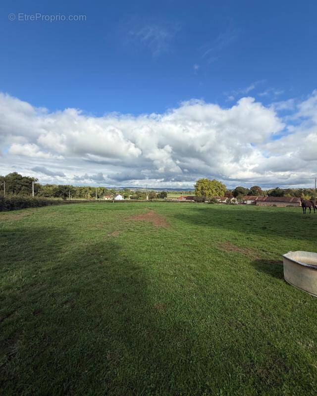 Terrain à AMEUGNY