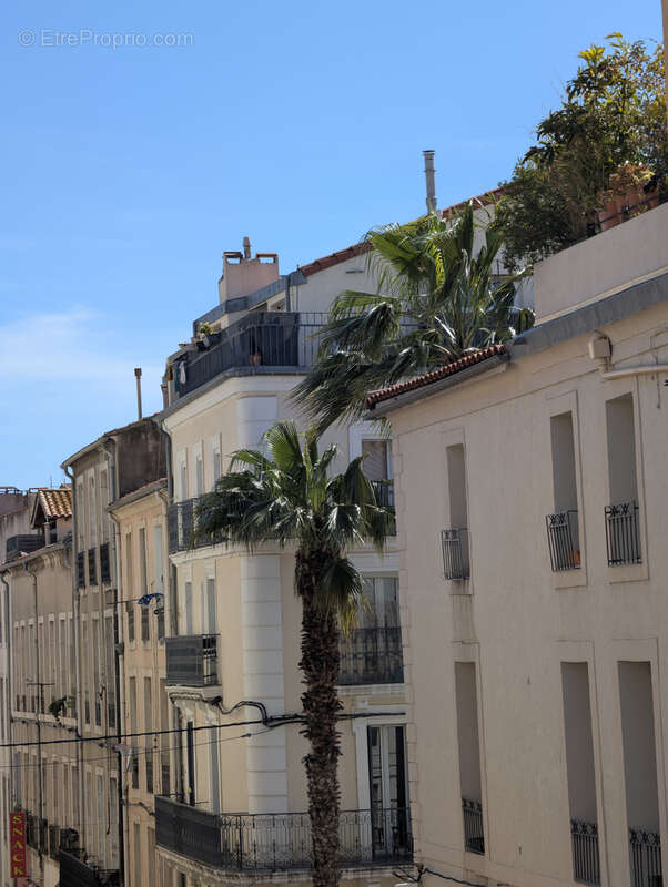 Appartement à SETE