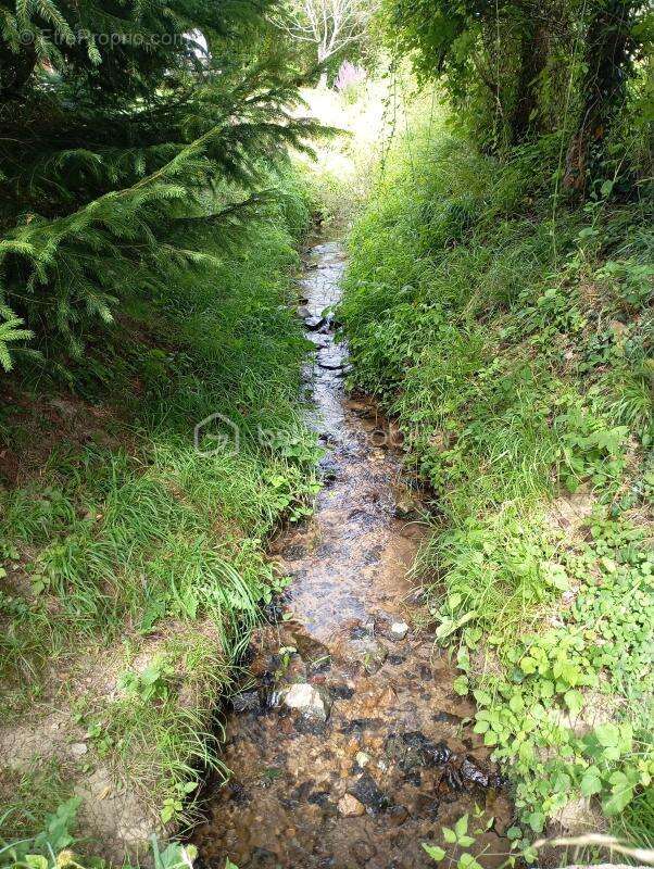 A saisir terrain de loisir aménagé avec son plan d'eau - photo 4
