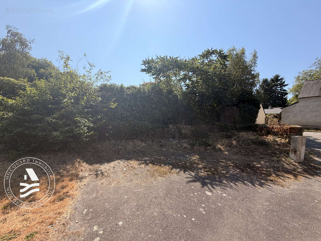 Maison de charme rénovée - photo 3