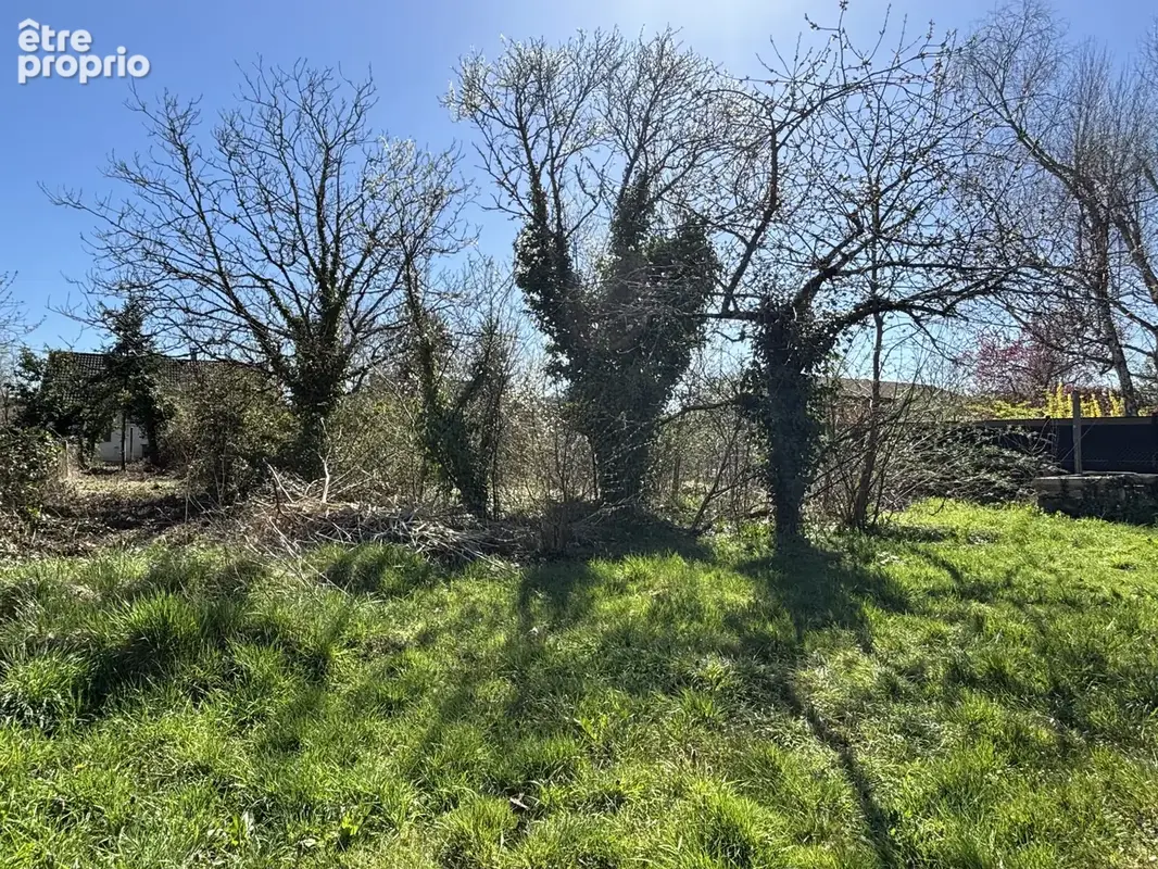 Terrain à bâtir de 650 m2 - proche centre de La Ferté Saint Aubin - photo 4