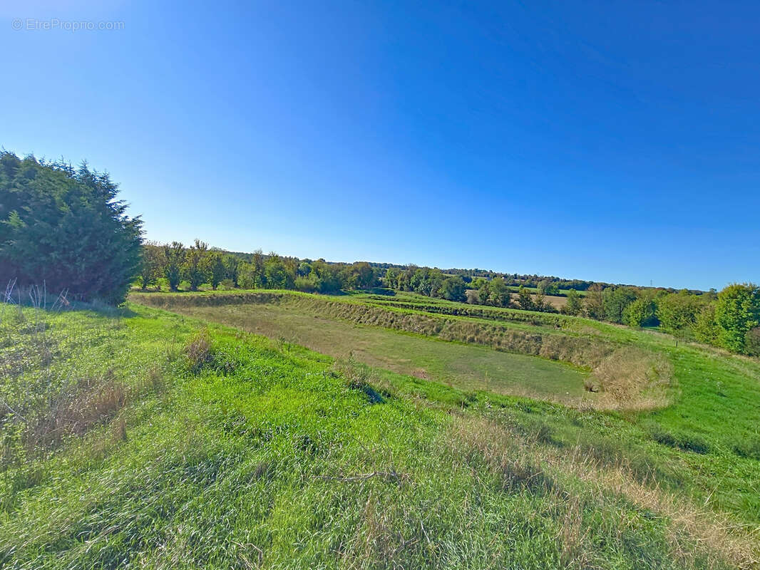Terrain à NEUILLY-EN-DUN