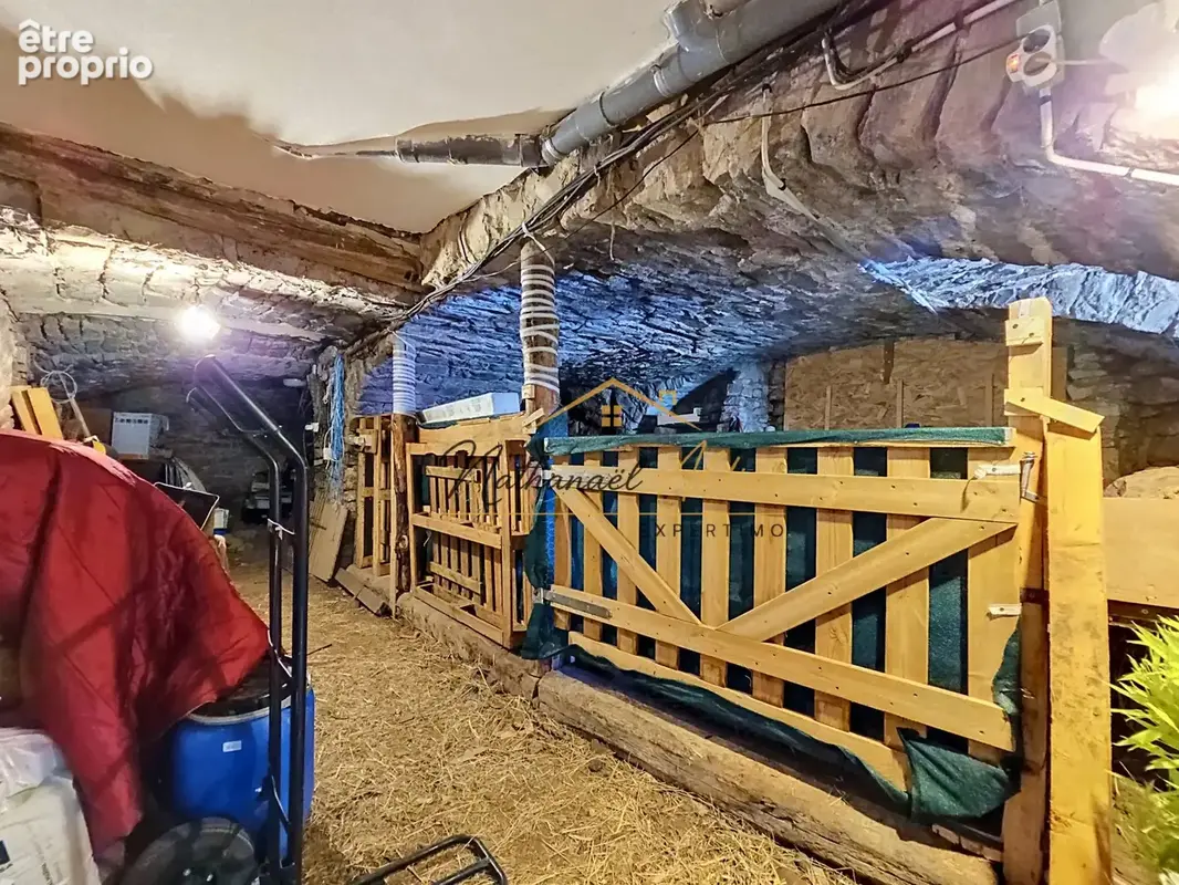 Maison avec terrasse et caves - photo 14