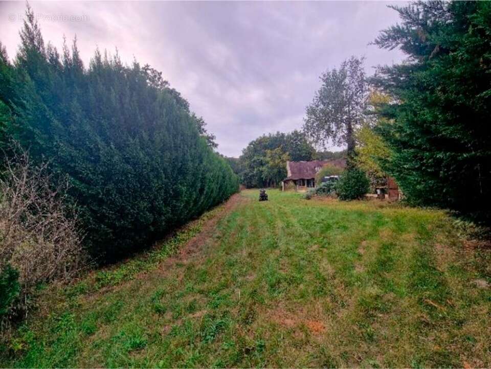 Terrain à MILLY-LA-FORET