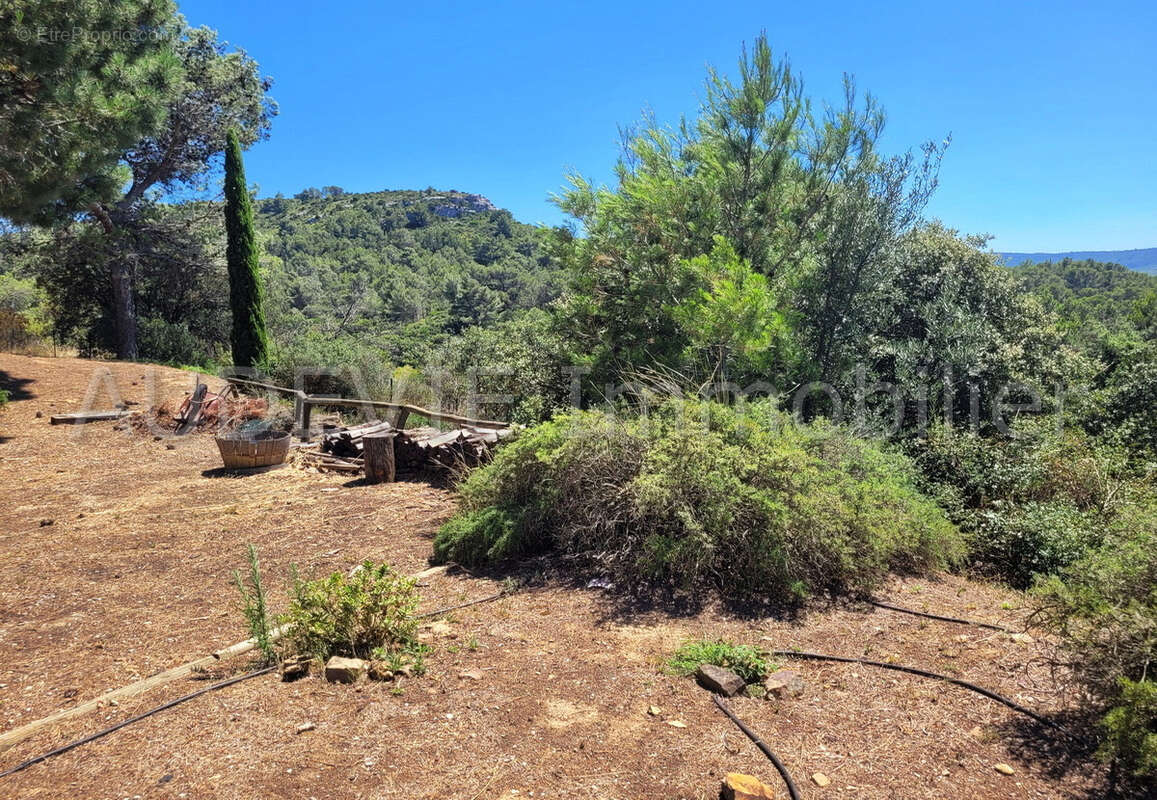 Maison à THEZAN-DES-CORBIERES