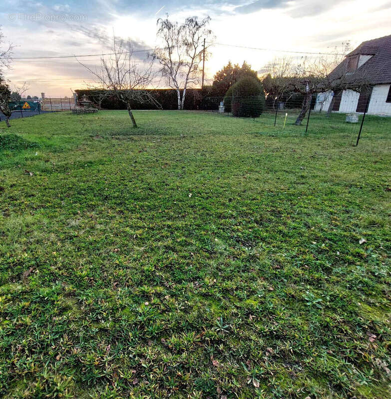 Terrain à ACHERES-LA-FORET