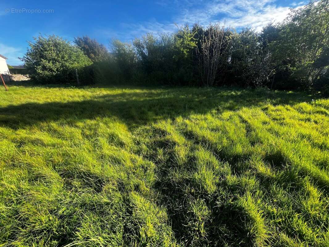 Maison à VIERVILLE-SUR-MER