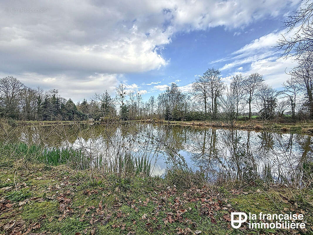 Terrain à SENS-DE-BRETAGNE