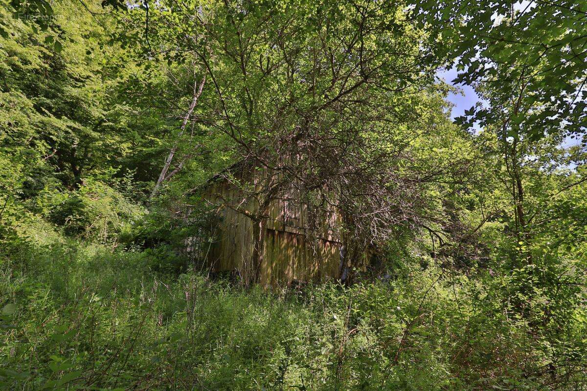 Terrain à LINTHAL
