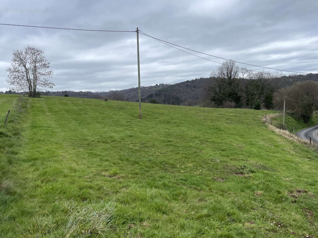 Entre Objat et Juillac, campagne - photo 8