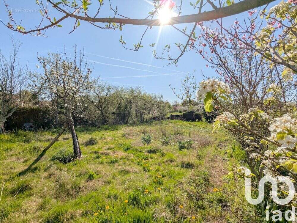 Photo 6 - Maison à PRESSAC