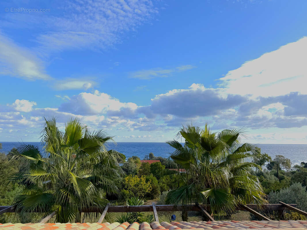 Maison à SARI-SOLENZARA