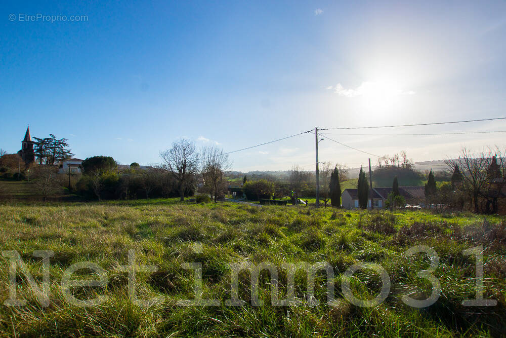 Terrain à PUYLAURENS