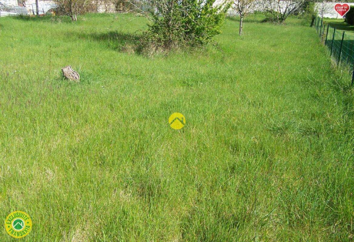 Terrain à SAINT-FLORENT-SUR-CHER