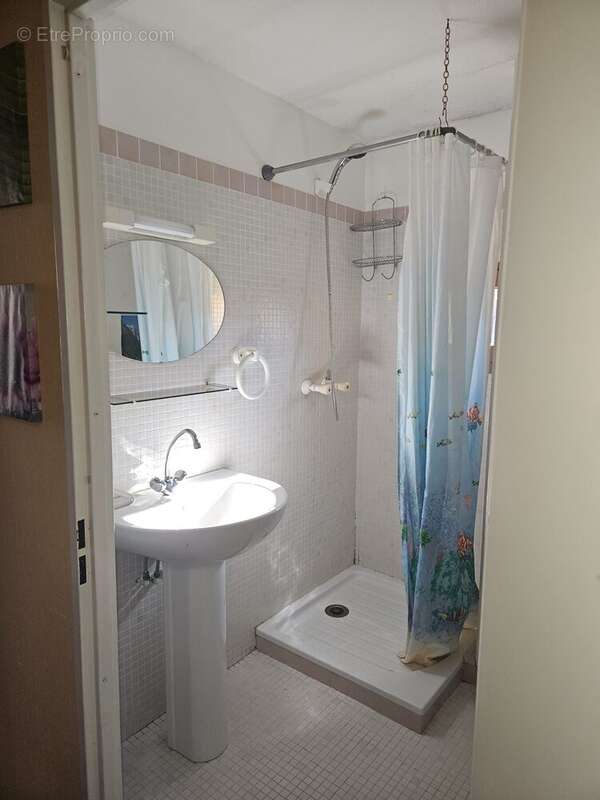 Salle d&#039;eau - Appartement à SEYNE