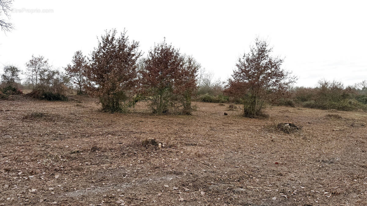 Terrain à CAUBEYRES