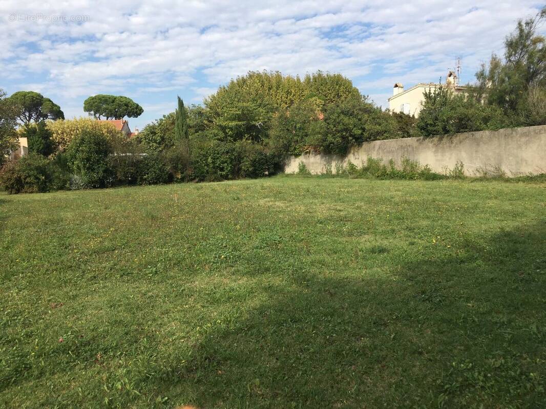 Terrain à LE TAILLAN-MEDOC