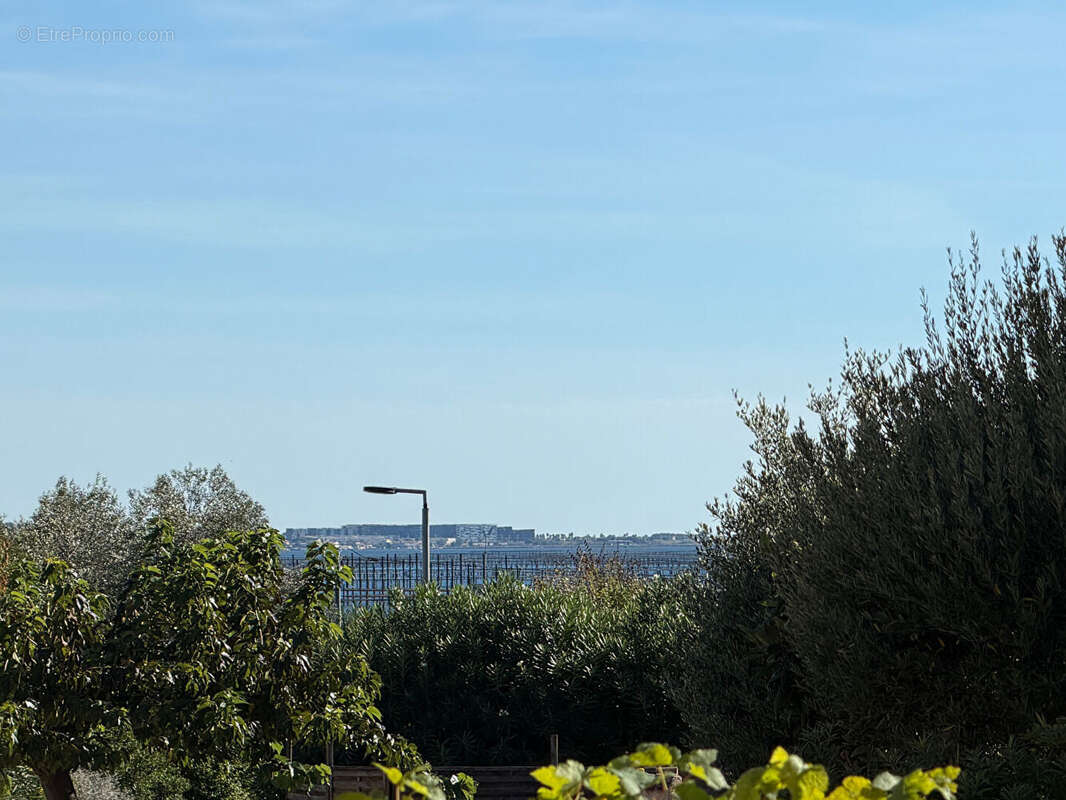 Appartement à BOUZIGUES