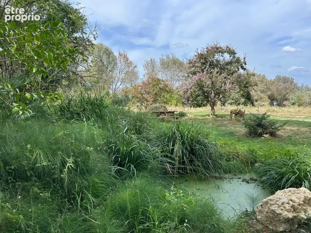 LECTOURE, Maison de caractère avec ses dépendances et 5hectares de terres autour - photo 17