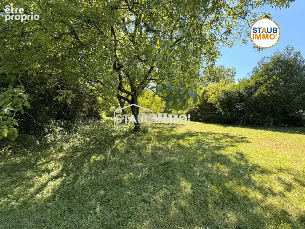 Terrain 3983 m² à Rosenau  - photo 4