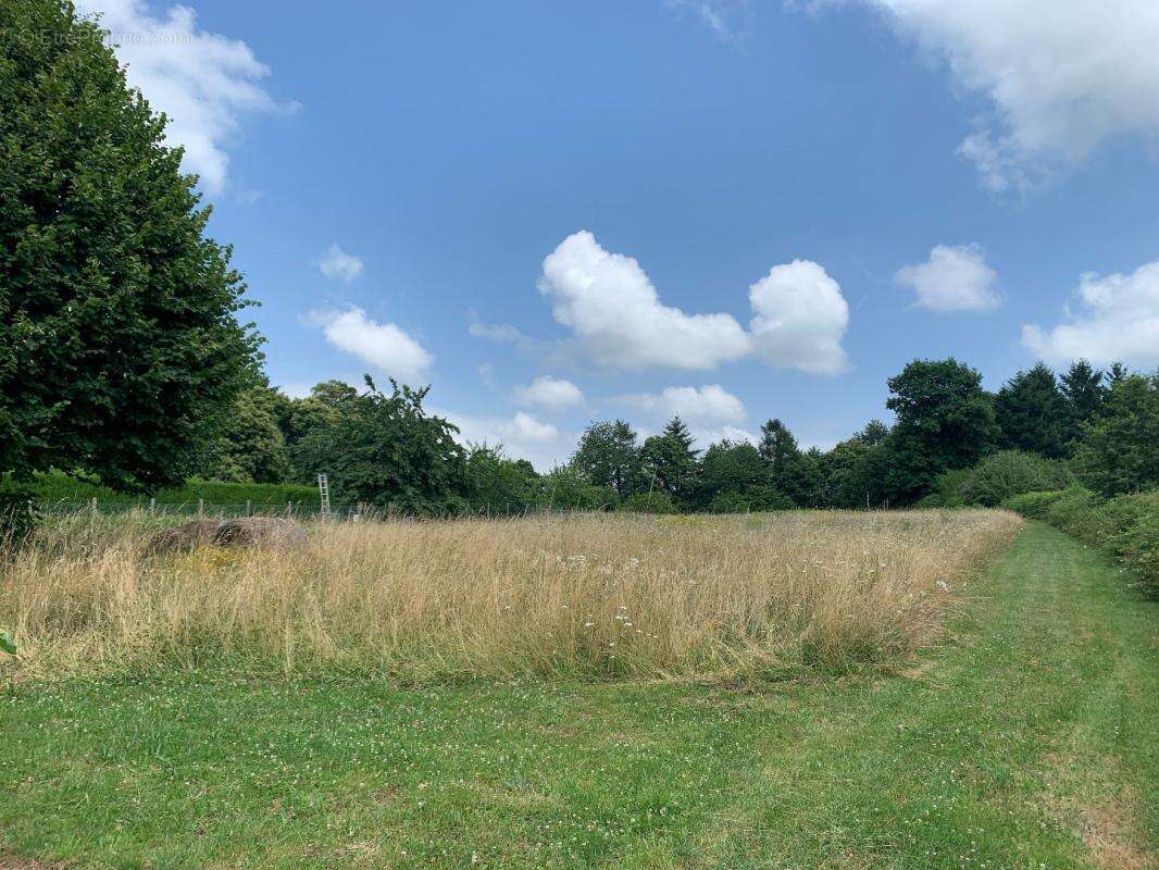 Terrain à SAINT-YRIEIX-LA-PERCHE