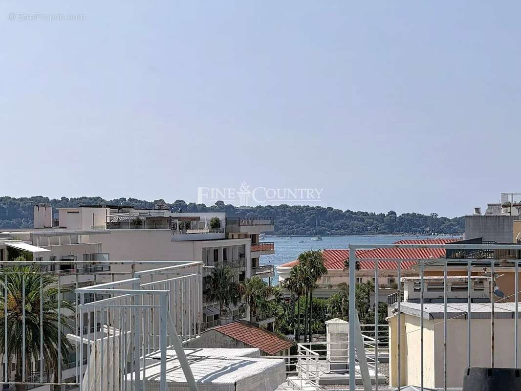 Vente Penthouse Palm Beach, Cannes - photo 20