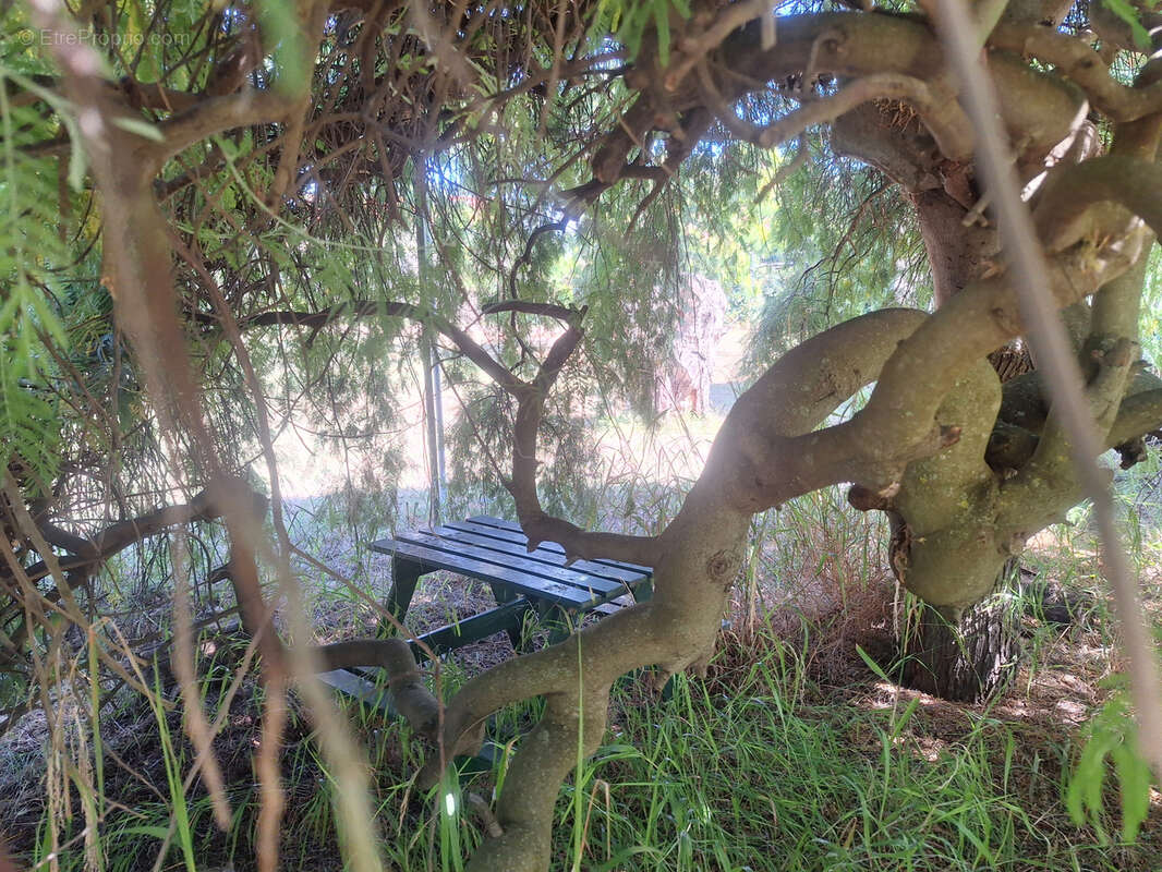 Maison à LAROQUE-DES-ALBERES