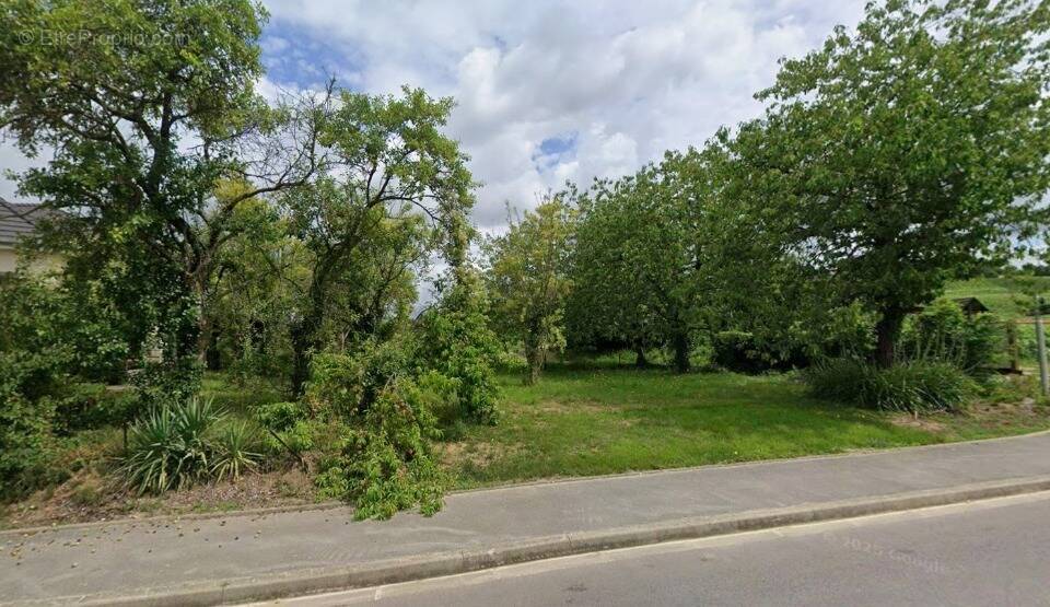 Terrain à JONCHERY-SUR-VESLE
